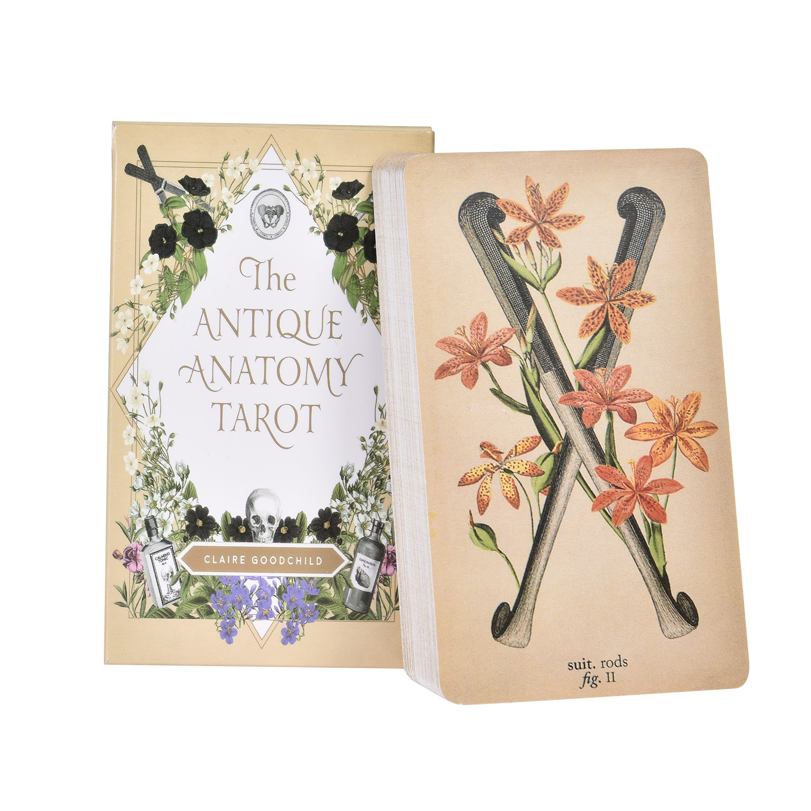 Tarot Cards Deck With Guidebook - ไพ่ทาโรต์ 